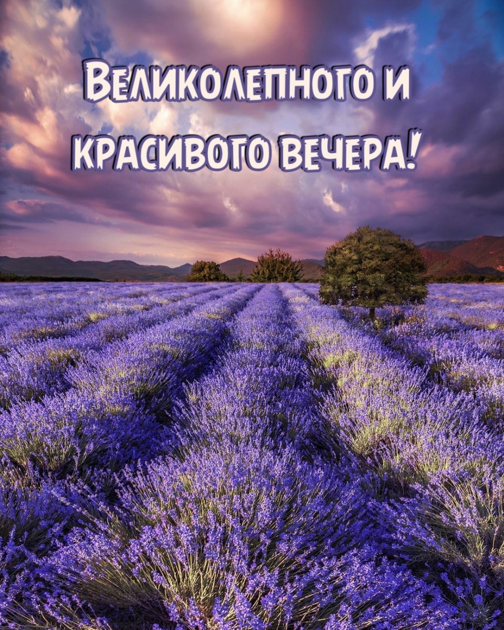    !