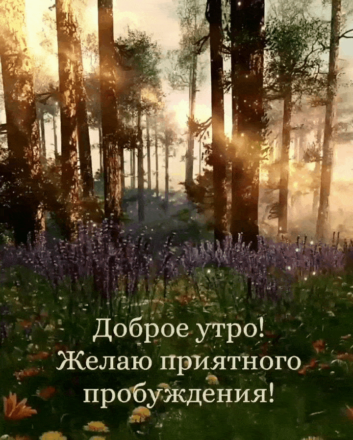  !   !