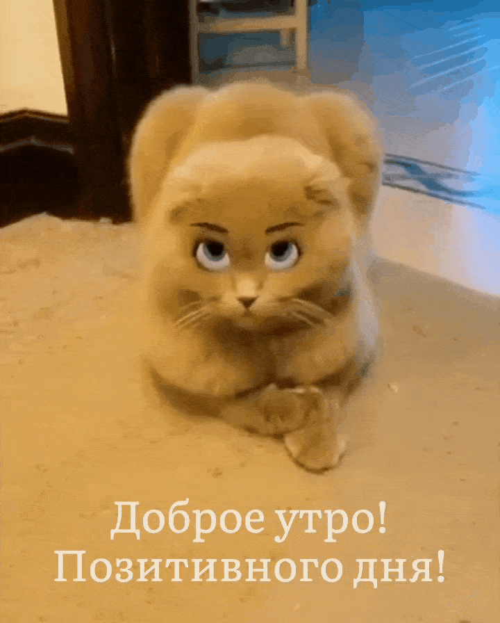  !  !
