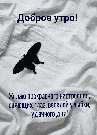 Открыть в полном размере Доброе утро! Желаю прекрасного настроения, сияющих глаз