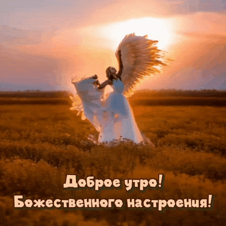 Открыть в полном размере Доброе утро! Божественного настроения!