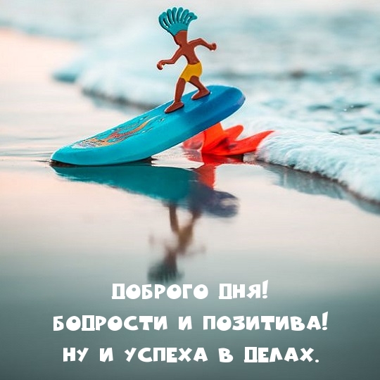  !   !     .
