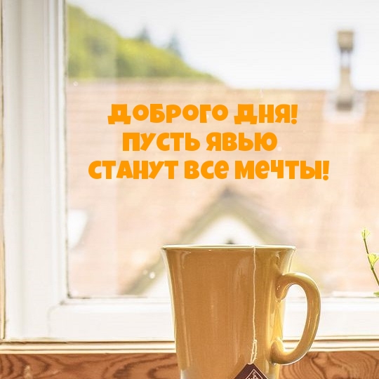 ������� ���! ����� ���� ������ ��� �����!