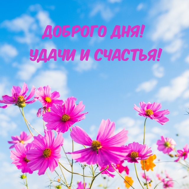  !   !
