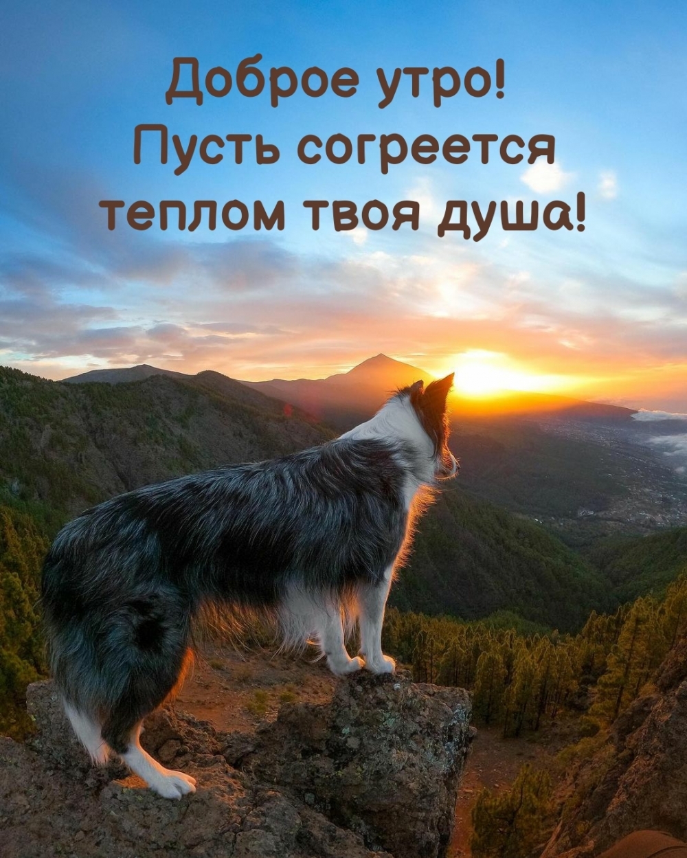  !     !