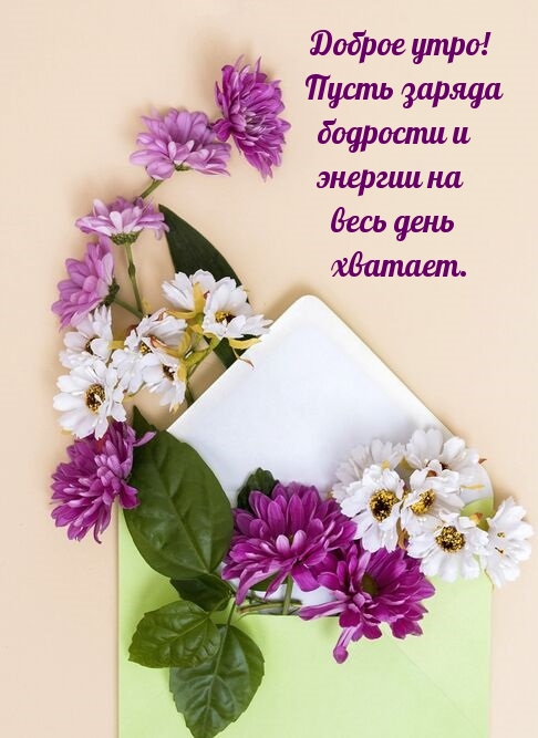  !         .