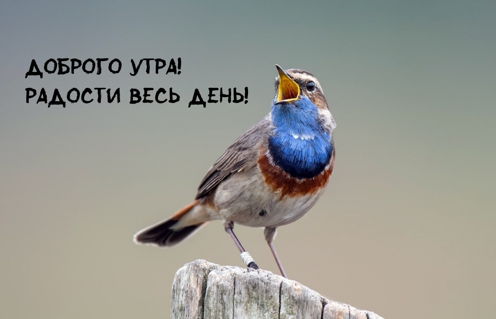   !