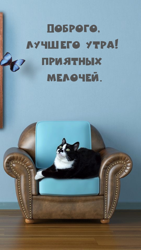 ,  !  .