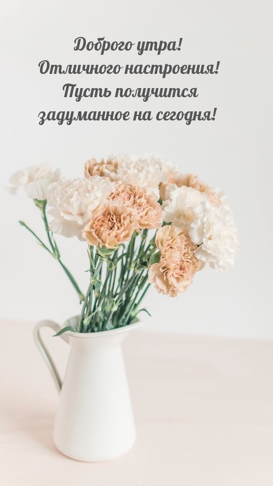 Открыть в полном размере Доброго утра! Отличного настроения!