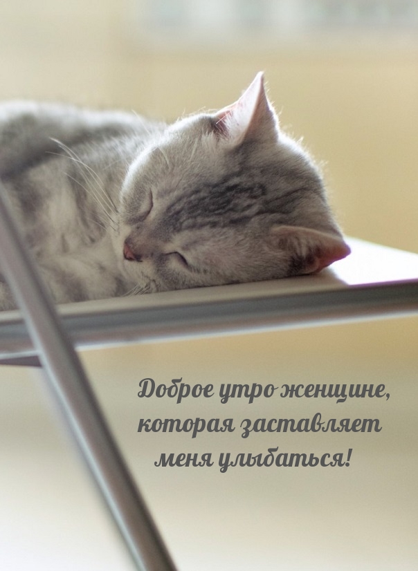   ,    !