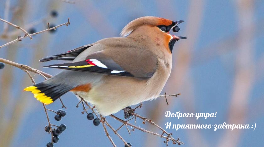 ������� ����! � ��������� �������� :)