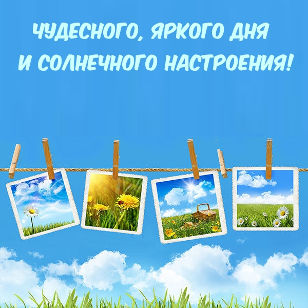 ,     !