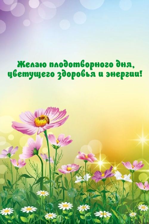 ����� ������������� ���, ��������� �������� � �������!