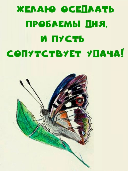 Открыть в полном размере Желаю оседлать проблемы дня, и пусть сопутствует удача!