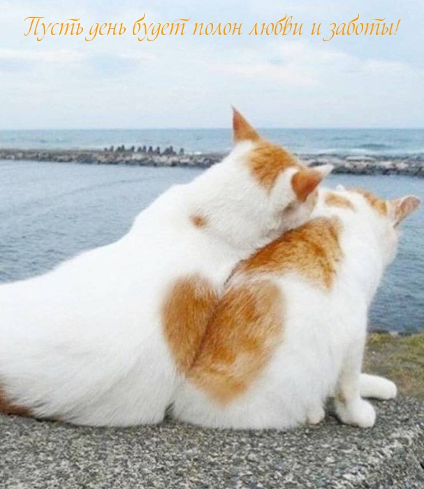       !