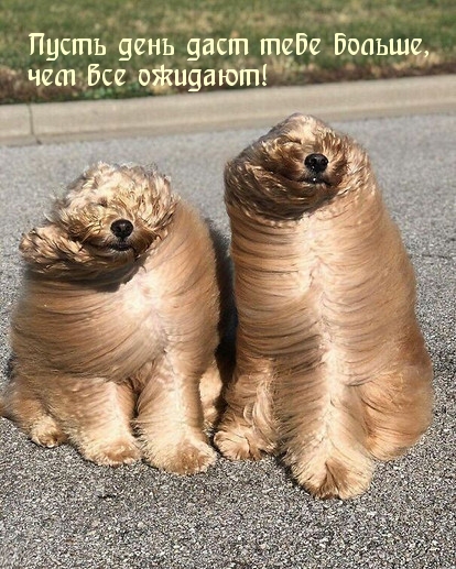     ,   !