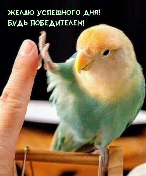   !  !