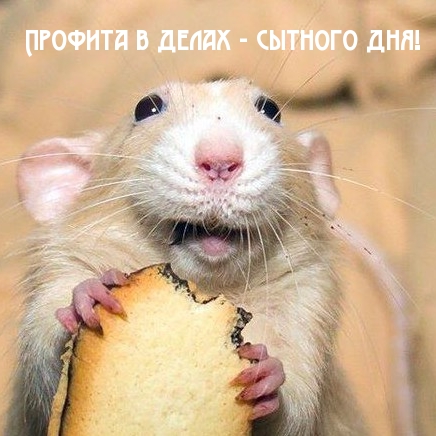    -  !