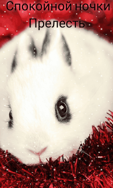 ��������� �����, �������� 