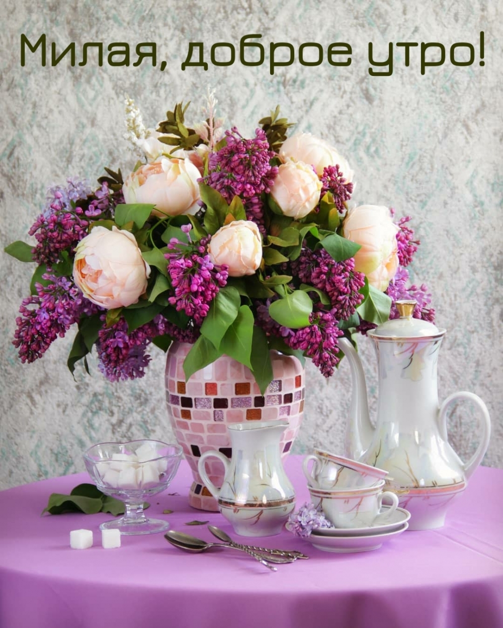 �����, ������ ����!