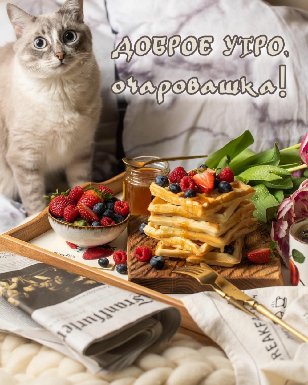 Открыть в полном размере Доброе утро, очаровашка!