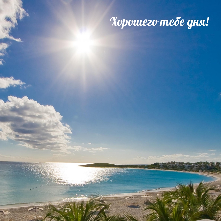 Открыть в полном размере Хорошего тебе дня!
