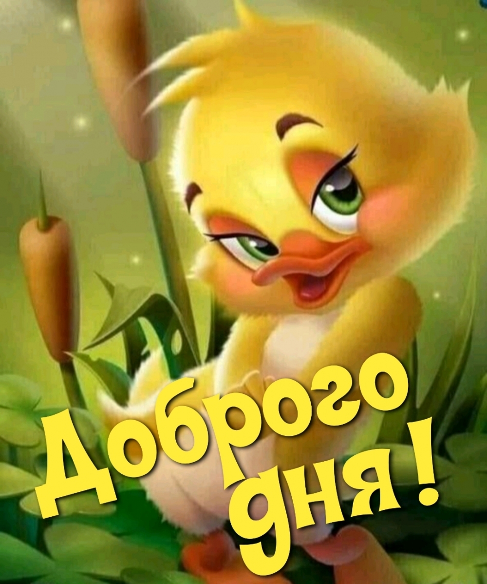  !