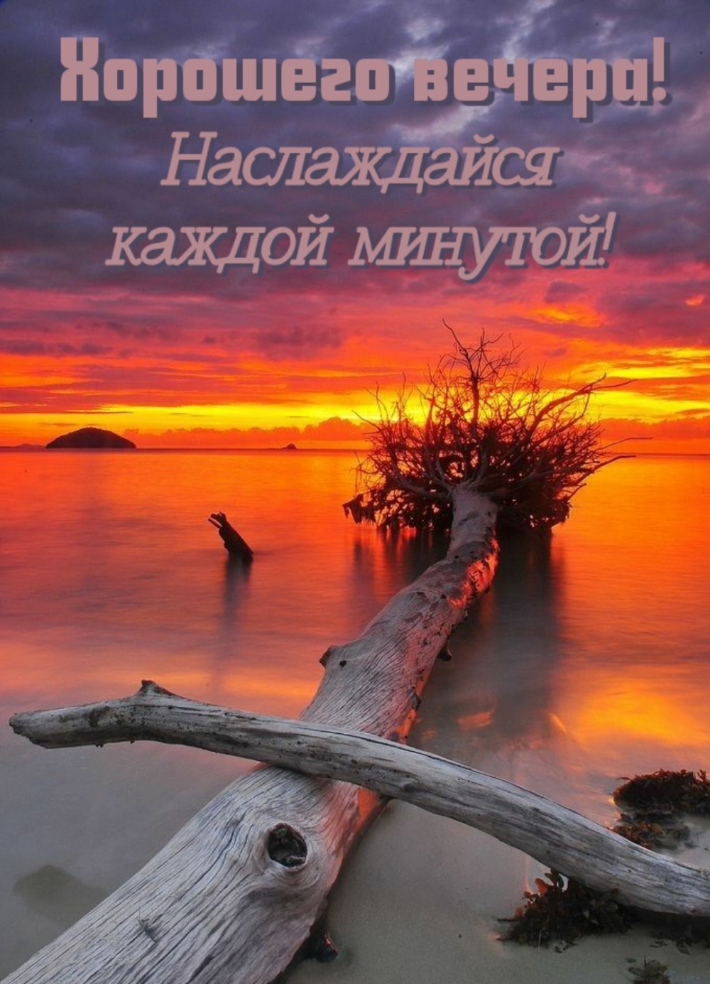 �������� ������! ����������� ������ �������!