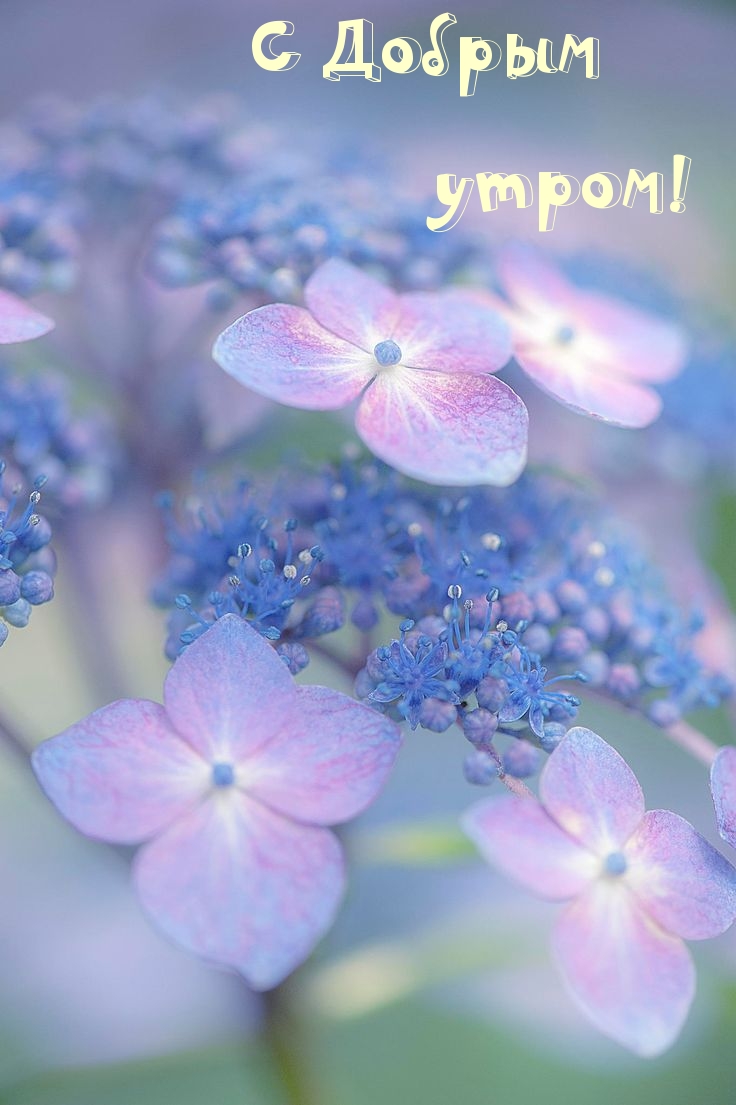 � ������ �����!