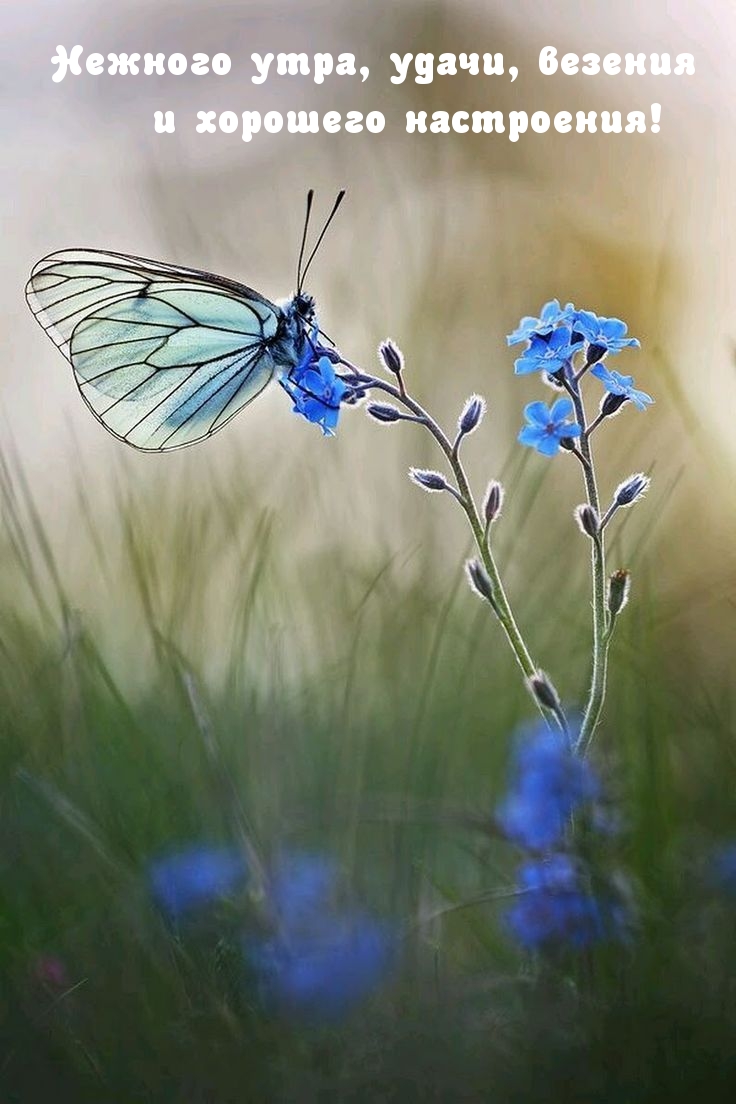 ������� ����, �����, ������� � �������� ����������!