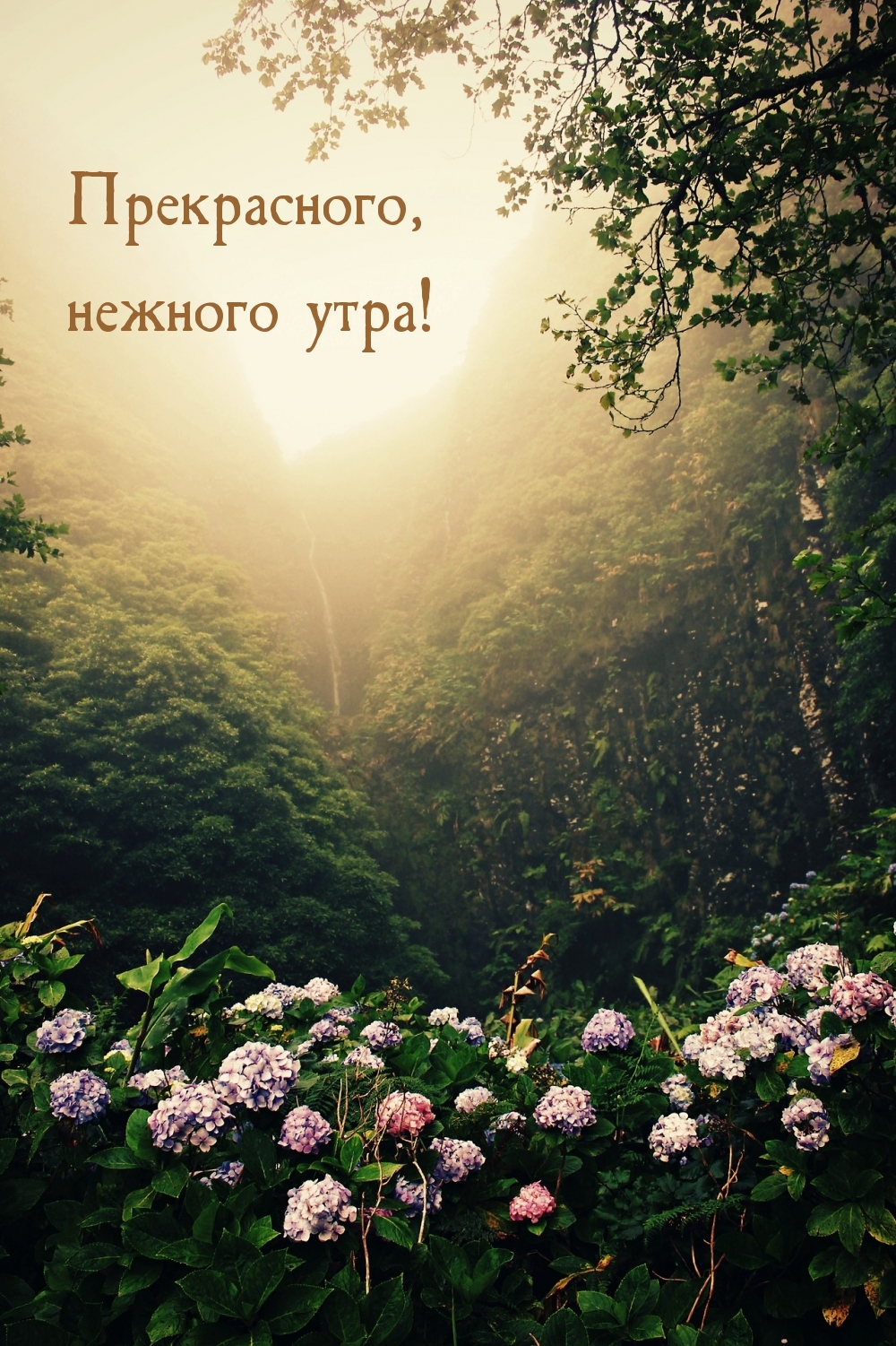 �����������, ������� ����!