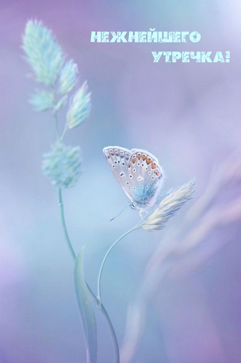 ���������� �������!