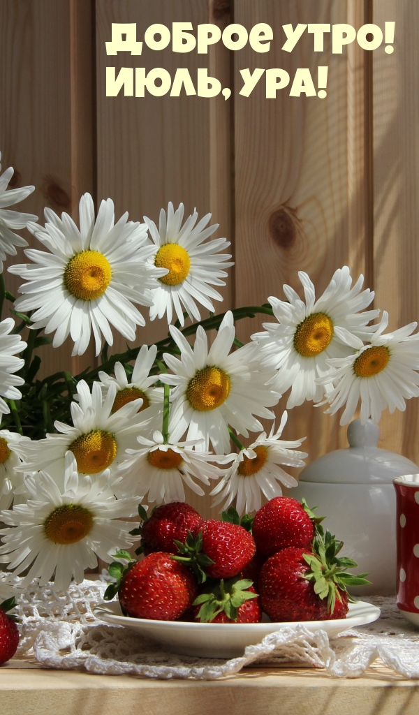 ������ ����! ����, ���!