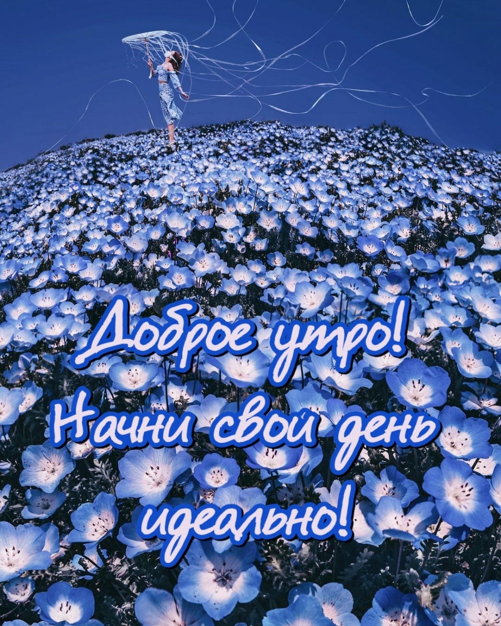 Открыть в полном размере Доброе утро! Начни свой день идеально!