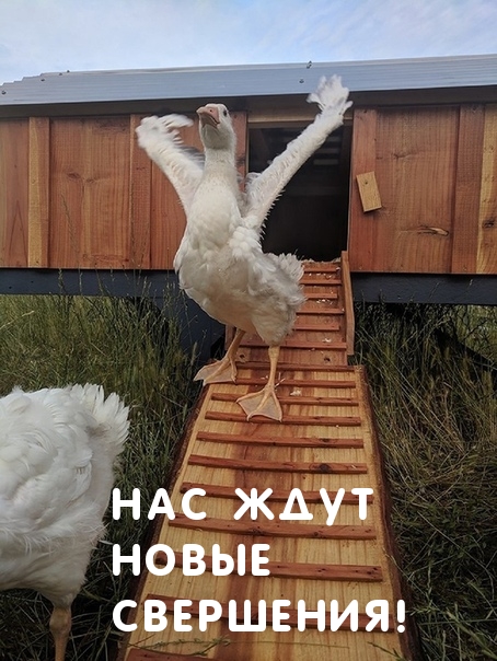 ��� ���� ����� ���������!