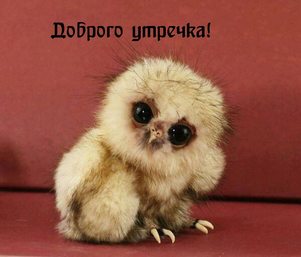  !