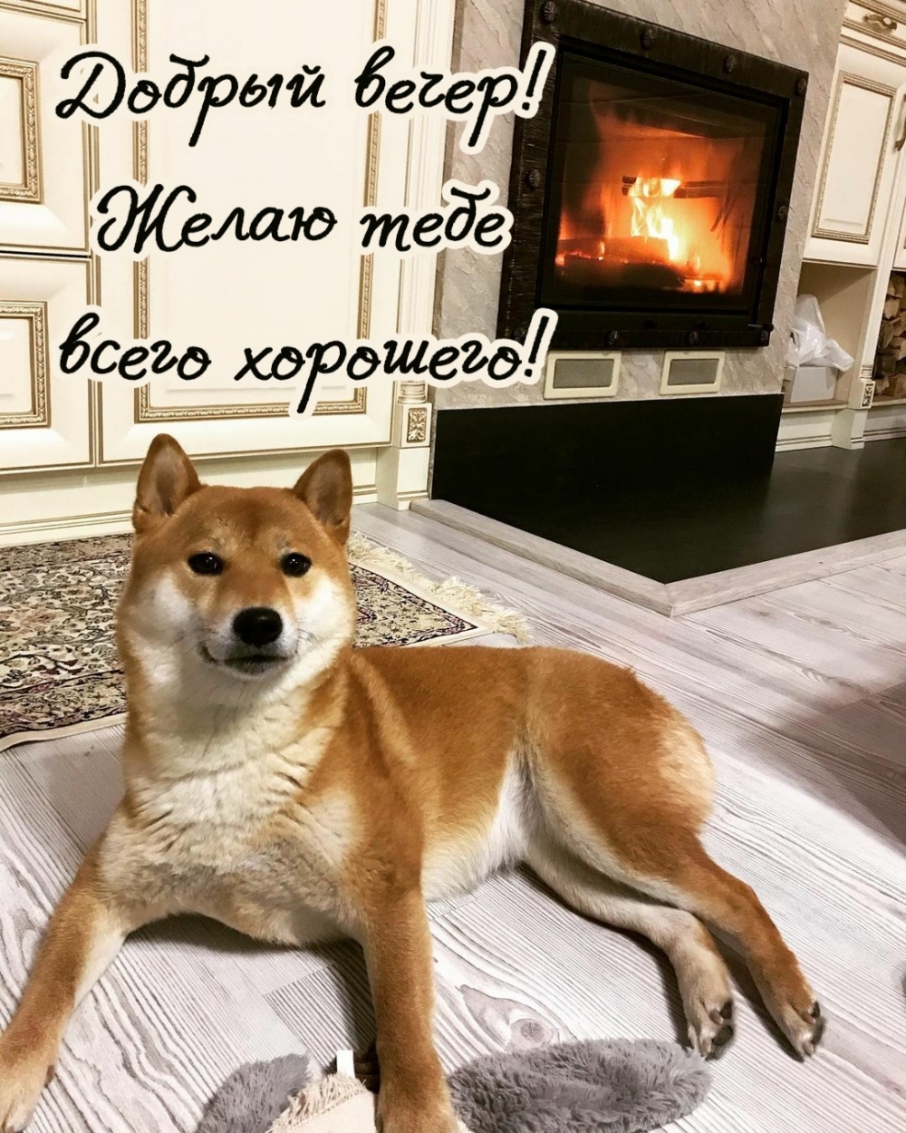 Открыть в полном размере Добрый вечер! Желаю тебе всего хорошего!