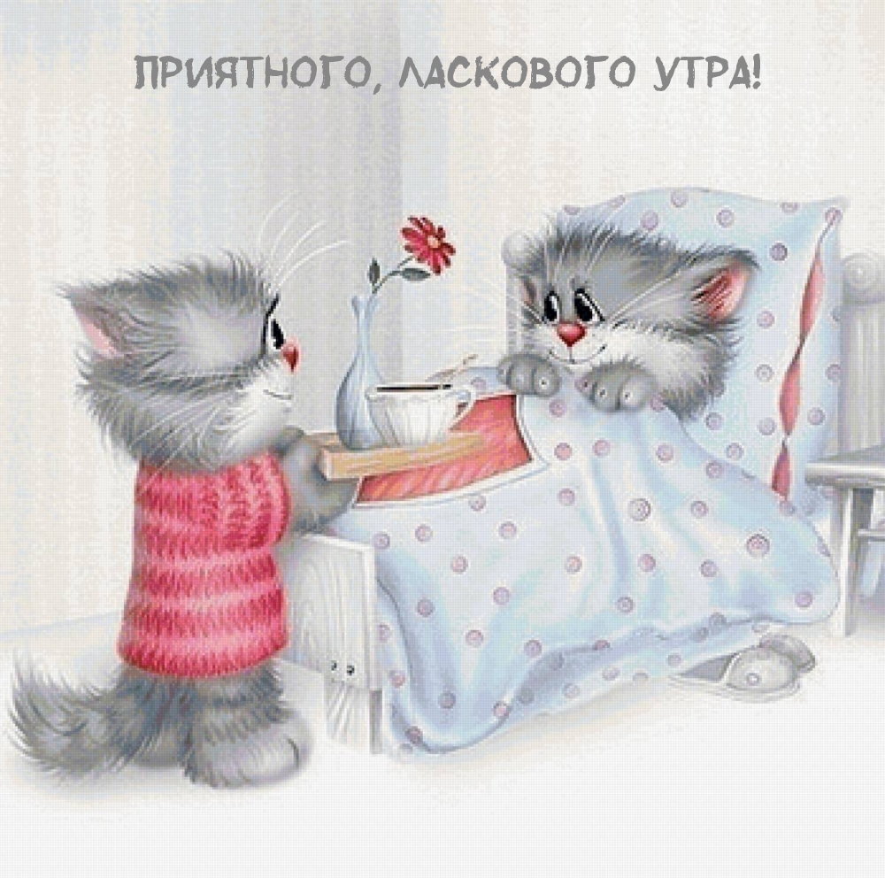 ,  !