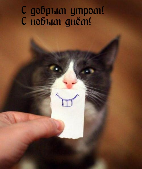 Открыть в полном размере С добрым утром! С новым днём!