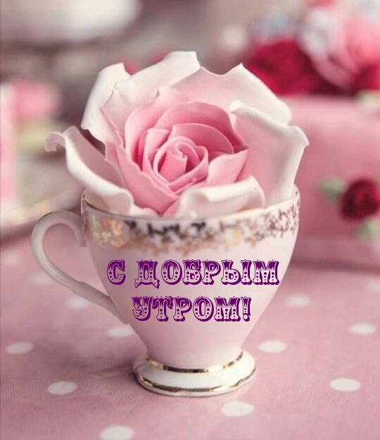 � ������ �����!