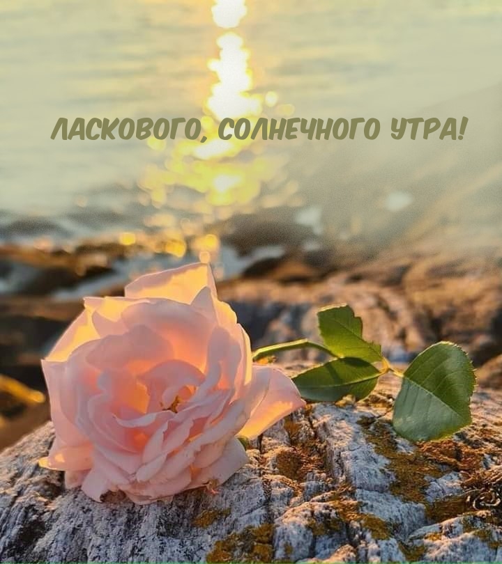 ,  !