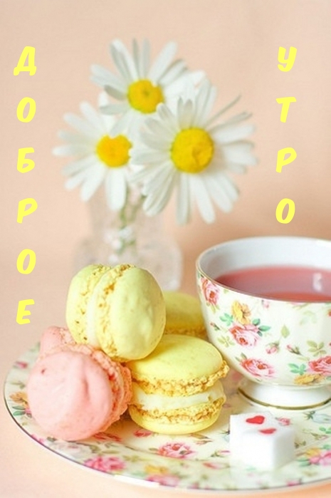 ������ ����