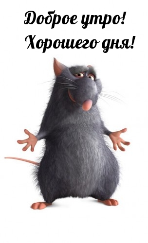  !  !