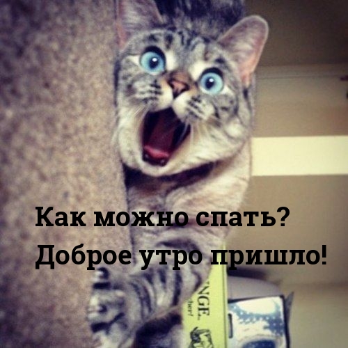 ��� ����� �����? ������ ���� ������!