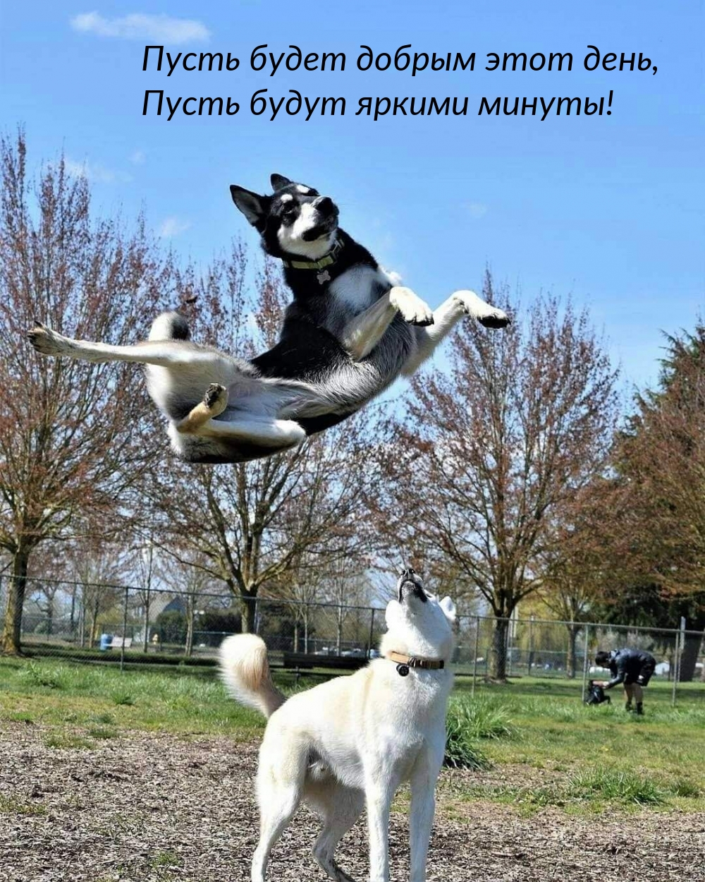 ����� ����� ������ ���� ����, ����� ����� ������ ������!