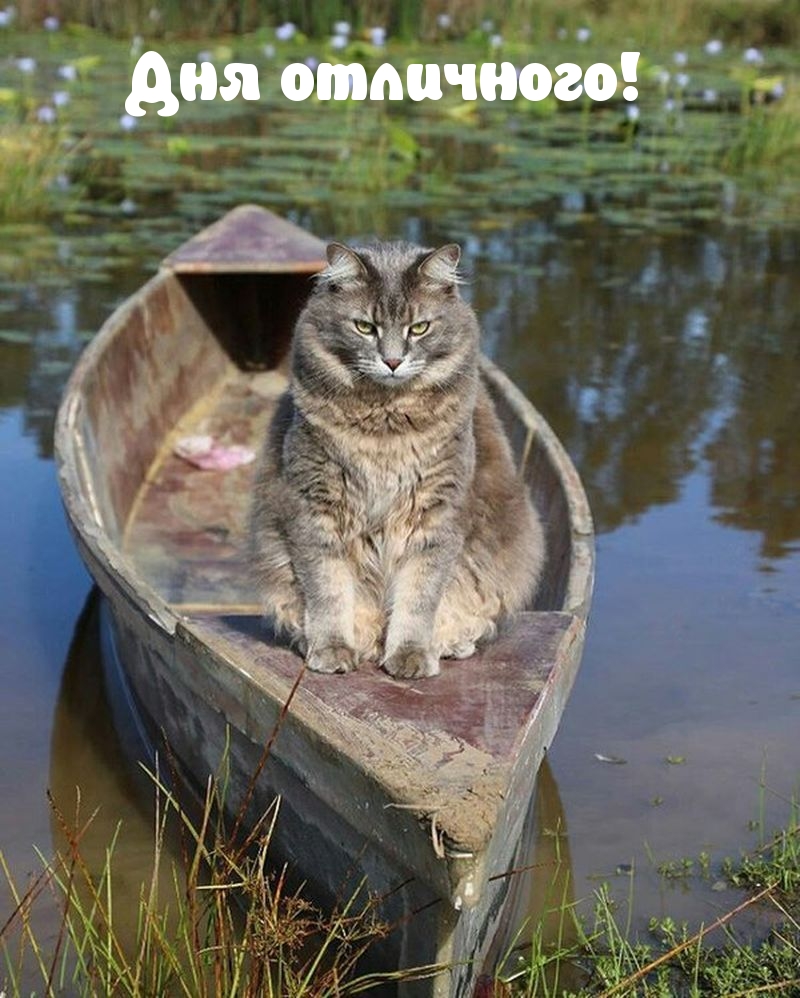 ��� ���������!