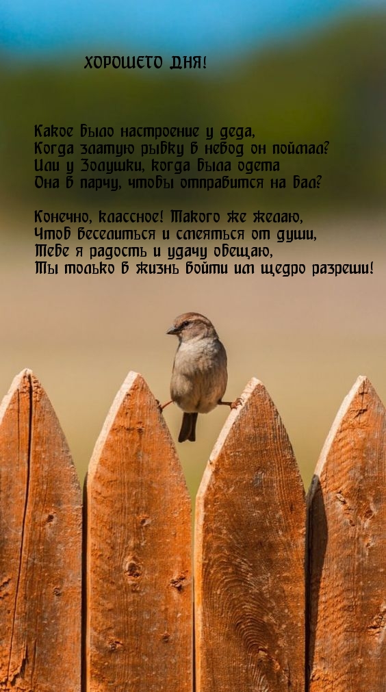 Хорошего дня! Чтоб веселиться и смеяться от души