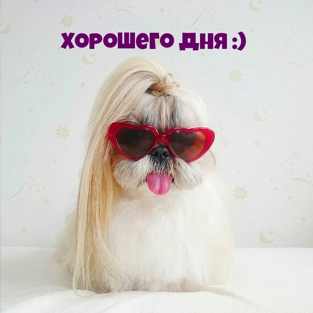 Хорошего дня :)