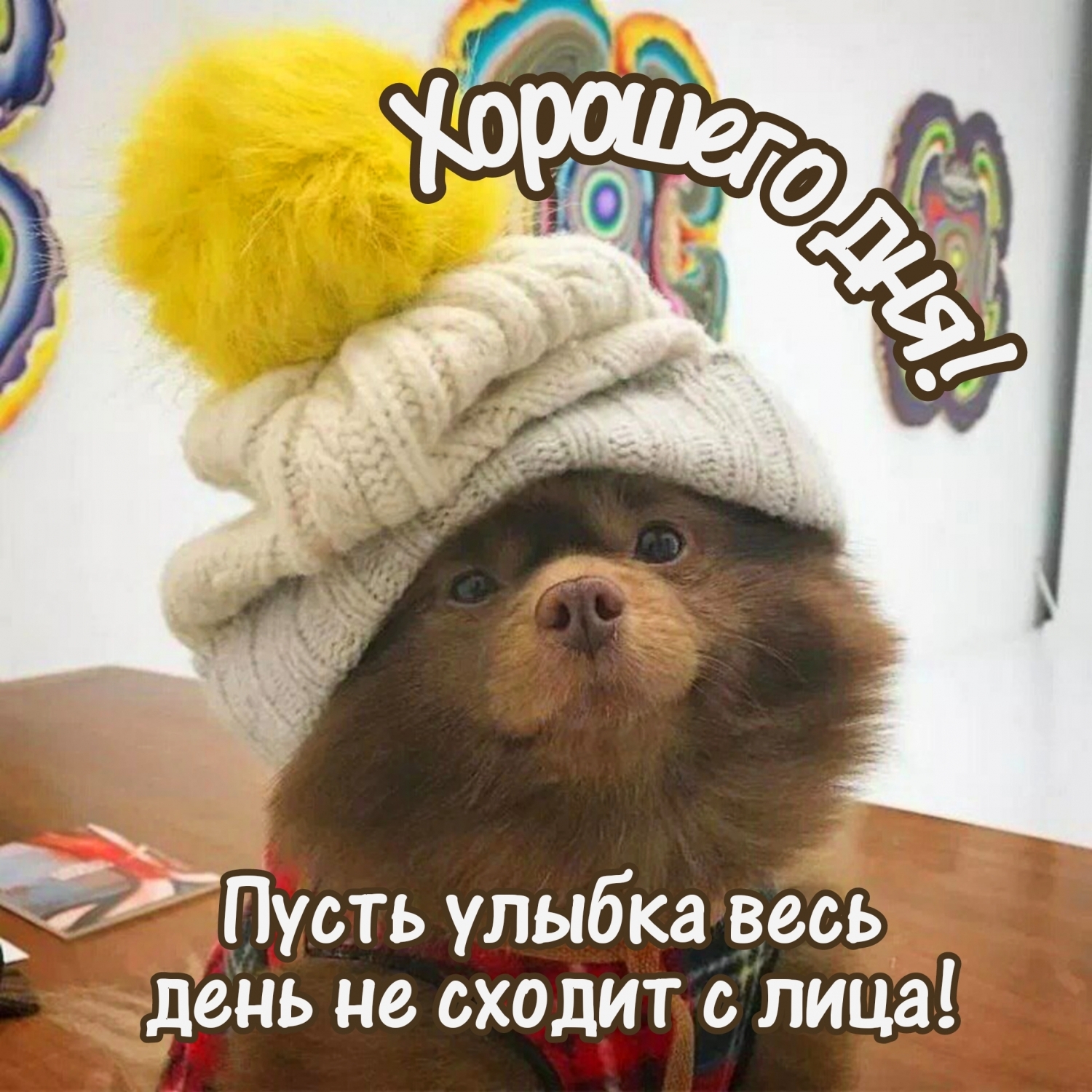 �������� ���! ����� ������ ���� ���� �� ������ � ����!