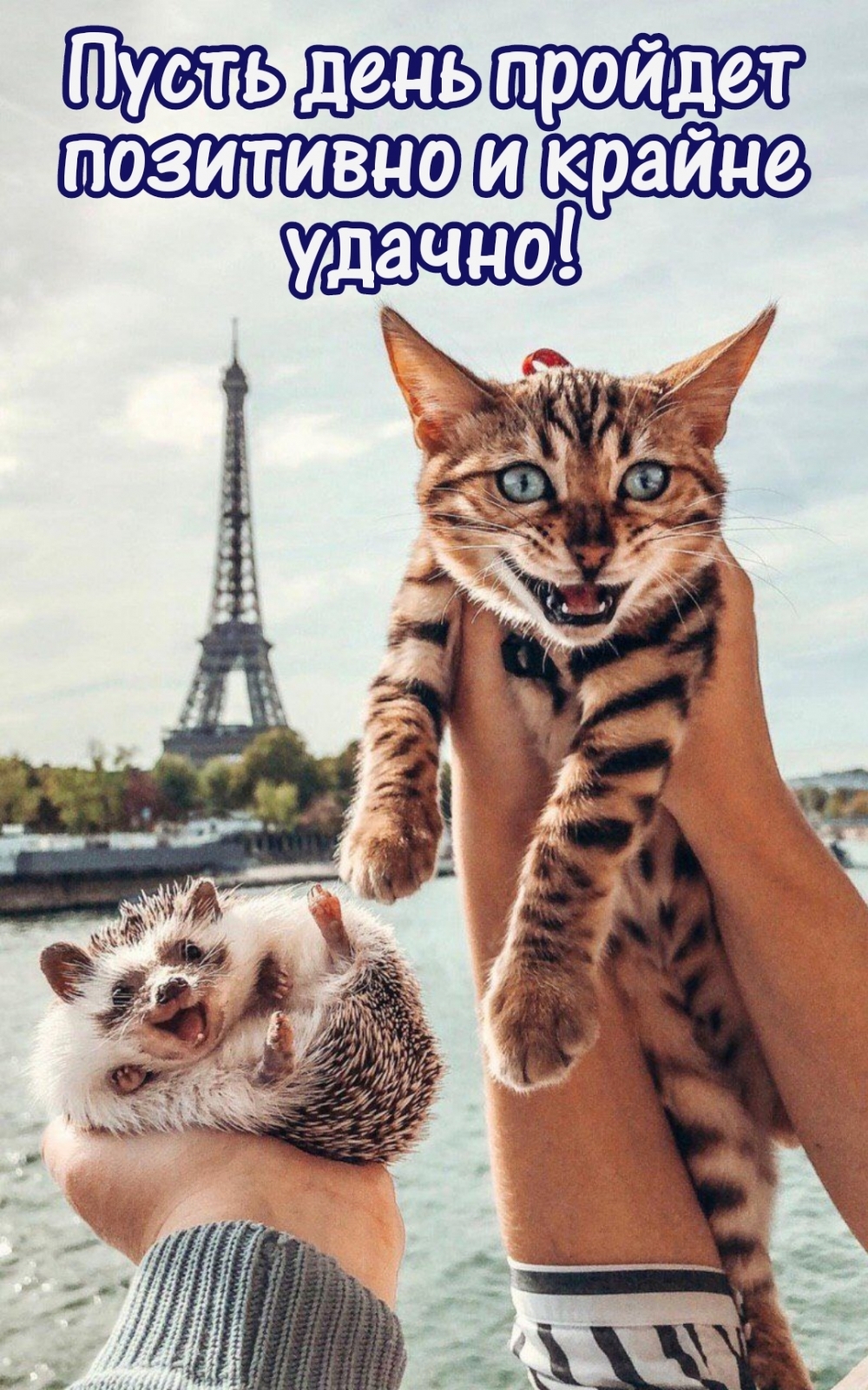 ����� ���� ������� ��������� � ������ ������!